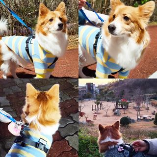 림림님이 올린 리뷰 사진 1