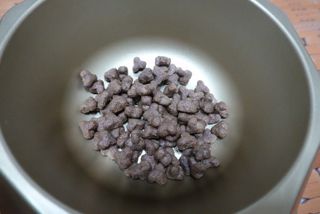 영국 바이탈린 강아지 애견사료 2kg — 5점을 준 리뷰어가 2021년 6월 올린 사용 사진