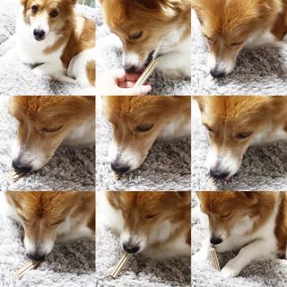 림림님이 올린 리뷰 사진 4