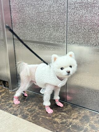 sunny님이 올린 리뷰 사진 2