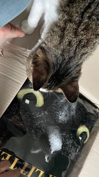라라님이 올린 리뷰 사진 2