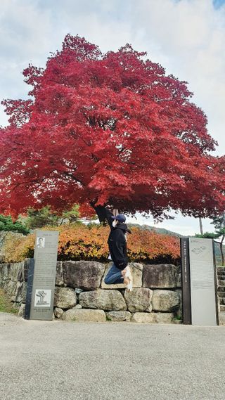 으나님이 올린 리뷰 사진 2