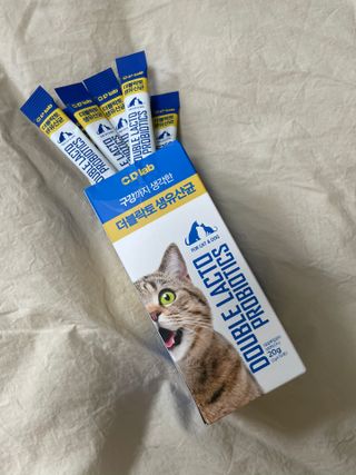 여온님이 올린 리뷰 사진 2