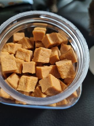 페페로니 진짜 오메가3 연어+소고기 180g+180g — 4.5점을 준 리뷰어가 2021년 7월 올린 사용 사진