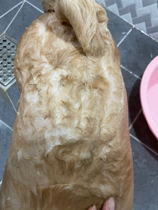 모찌님이 올린 리뷰 사진 4