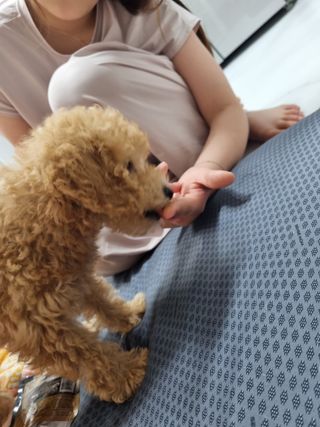 hsjw님이 올린 리뷰 사진 2