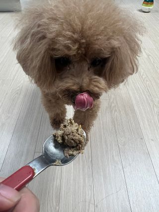 코끼리님이 올린 리뷰 사진 3