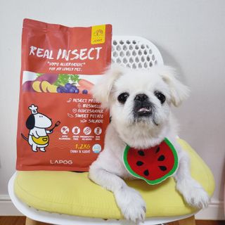 mini unni님이 올린 리뷰 사진 1