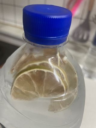 보밍님이 올린 리뷰 사진 2