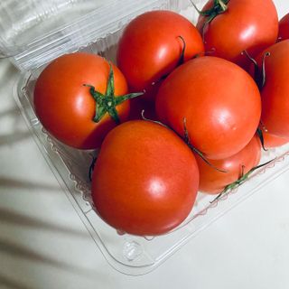 레드닥터 완숙토마토 + 통째로 동결건조한 대추방울토마토 — 5점을 준 리뷰어가 2022년 11월 올린 사용 사진