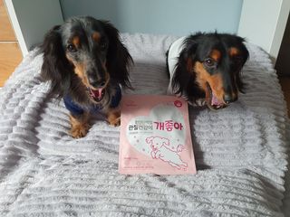 My Pet Care 천연단백질 관절건강에 개좋아 — 4.5점을 준 리뷰어가 2021년 3월 올린 사용 사진