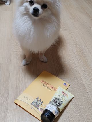 버츠비 케어플러스 릴리빙포앤노즈로션 — 4점을 준 리뷰어가 2021년 4월 올린 사용 사진