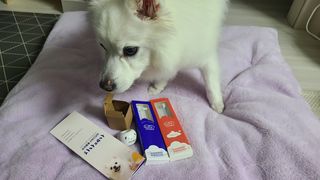 치카페카 Chicapetca — 5점을 준 리뷰어가 2022년 2월 올린 사용 사진