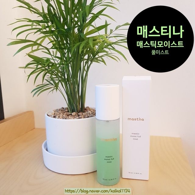 매스틱 모이스트 풀 미스트 리뷰 사진