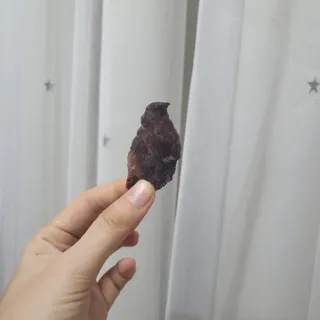 희비스커스님이 올린 리뷰 사진 2