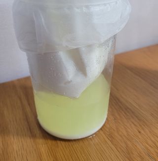 프리_[덴마크] 진하고 더 고소한 플레인 요거트 1.8L — 5점을 준 리뷰어가 2025년 5월 올린 사용 사진