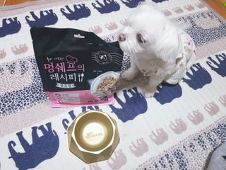 두부님이 올린 리뷰 사진 1