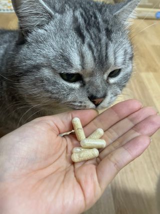 하루방울집사님이 올린 리뷰 사진 1