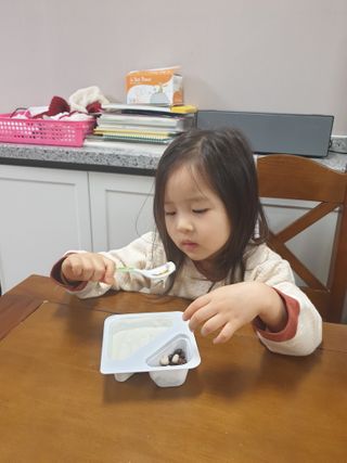 남양유업 또깍 접어 떠먹는 불가리스 2종 — 5점을 준 리뷰어가 2021년 1월 올린 사용 사진
