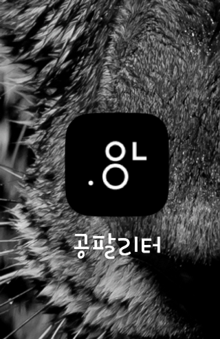 0.8L 마케팅팀 - — 5점을 준 리뷰어가 2021년 5월 올린 사용 사진