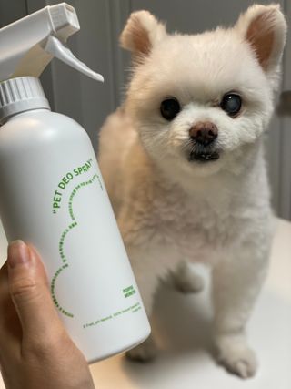 jenny님이 올린 리뷰 사진 1