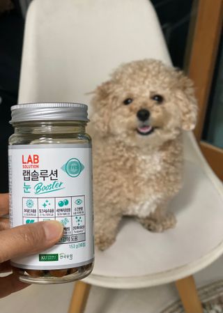 랩솔루션 강아지 영양제 3종 중 택 1 — 5점을 준 리뷰어가 2022년 5월 올린 사용 사진