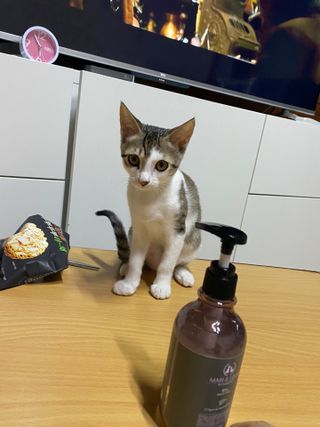 young2님이 올린 리뷰 사진 3