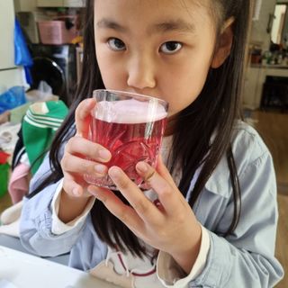 몽베스트 위드더 블랜딩 하우스 콤부차 _ 타트체리베리 — 5점을 준 리뷰어가 2023년 5월 올린 사용 사진