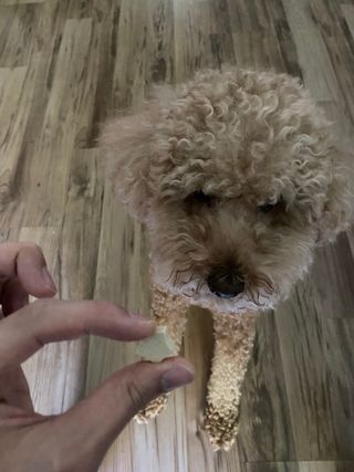 베넷저고리님이 올린 리뷰 사진 3