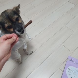 항항항님이 올린 리뷰 사진 3