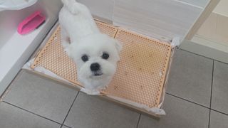 쏘이님이 올린 리뷰 사진 1