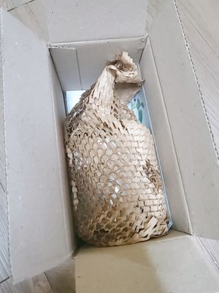 앙버터님이 올린 리뷰 사진 1