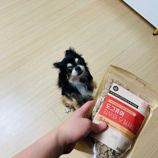 도그퓨어 피부와모질/혼합유산균/글루코사민 유기농 로스팅 사료 — 4점을 준 리뷰어가 2021년 9월 올린 사용 사진