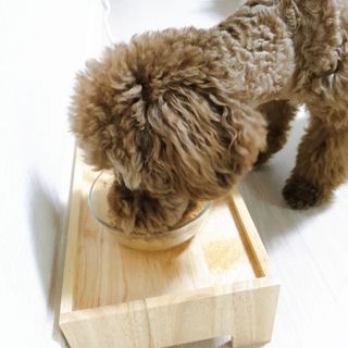 벼리님이 올린 리뷰 사진 4