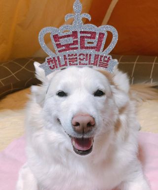 bori0924님이 올린 리뷰 사진 2