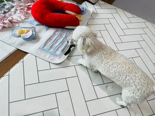 도우너님이 올린 리뷰 사진 2