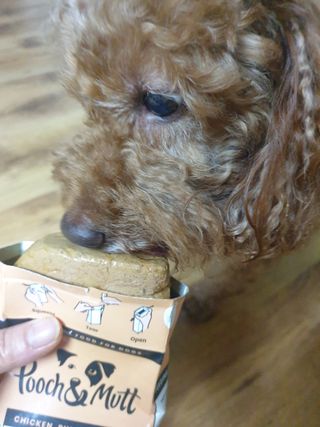호야야님이 올린 리뷰 사진 2