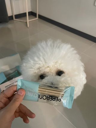 페페로니 클린플러스 덴탈치킨껌 10g x 14p — 5점을 준 리뷰어가 2021년 7월 올린 사용 사진