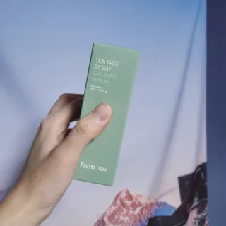 덤보님이 올린 리뷰 사진 4