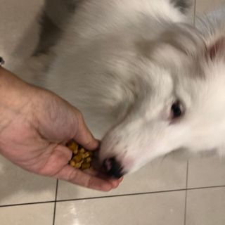 十二夜님이 올린 리뷰 사진 3