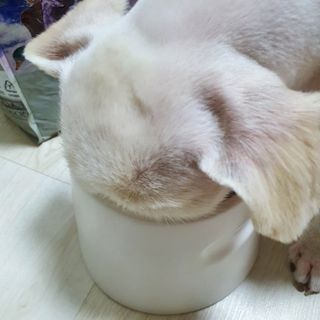 환희님이 올린 리뷰 사진 2