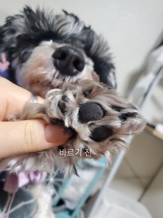 하희님이 올린 리뷰 사진 2