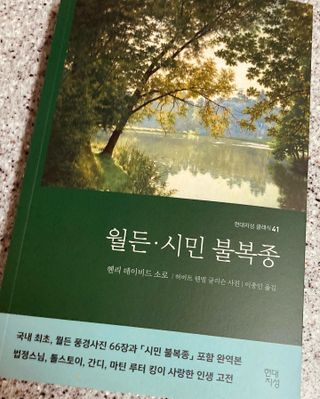 송송님이 올린 리뷰 사진 1