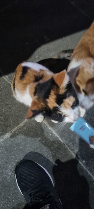 진쓰님이 올린 리뷰 사진 2