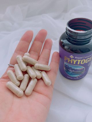 타이니벳시님이 올린 리뷰 사진 4
