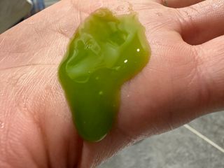 동동이맘님이 올린 리뷰 사진 4
