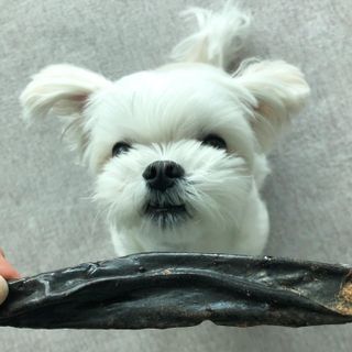 torius님이 올린 리뷰 사진 2