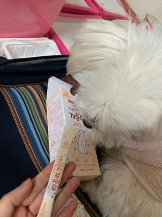 My Pet Care 모발과 모질 피부건강에 개좋아 — 5점을 준 리뷰어가 2021년 1월 올린 사용 사진