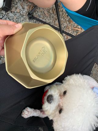 [세싹보울] 세균 싹~ 사라지는 셀앤핏 펫 항균동 애견식기 — 5점을 준 리뷰어가 2021년 7월 올린 사용 사진