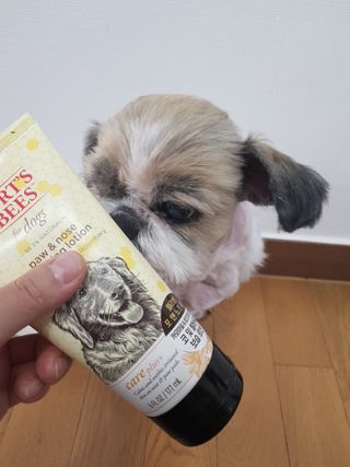 민우다빈이맘님이 올린 리뷰 사진 1